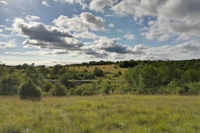 Ackerland zum Verkauf, Oprtalj