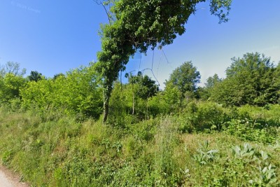 Building land
