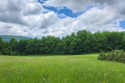 Terreno Ravna Gora