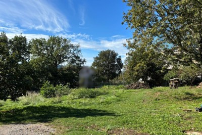 Buzet. 1000 m2.