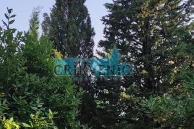 Novi Vinodolski,  , 100m2