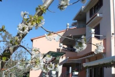 Apartmajska hiša s 5 apartmaji, vsak s čudovitim pogledom na morje