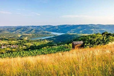 Buzet, complesso terriero di superficie totale di 100.258 m²