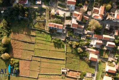 Korčula, Lumbarda kuća sa četiri apartmana