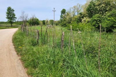 Terreno edificabile in vendita, 12.000 m2, in una posizione attraente appena sotto il piccolo villaggio istriano di Sveti Ivan. Si trova lungo la strada asfaltata. La strada non è trafficata. L'infrastruttura non è lontana dalla trama. Adatto per la reali