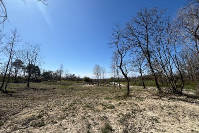 PAZIN (Istrien) – Baugrundstück 1543 m2, in der grünen Zone