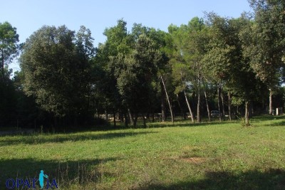 Terreno Rovinj, 12.058m2