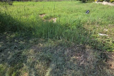 Građevinsko zemljišče 1.412 m², Šegotići