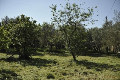 LOBORIKA - Građevinsko i poljoprivredno zemljište