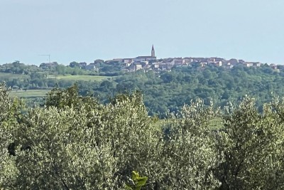 Građevinsko zemljište s pogledom na more, vinograde i Alpe (551 m²), Buje