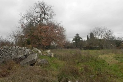 Terreno edificabile