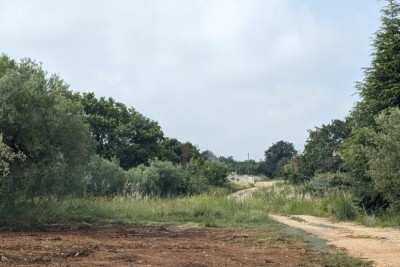 Građevinsko zemljišče z razgledom na morje – Poreč, 705 m²