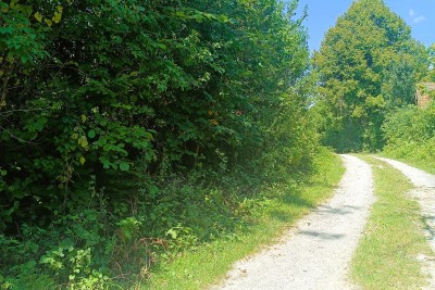 Slunj - Large plot of land with potential - quiet location near Slunj
