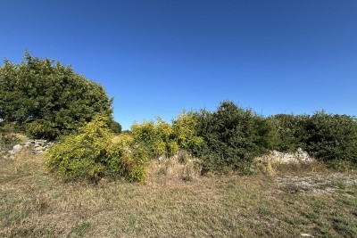 Building land