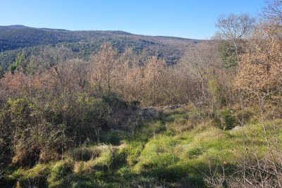 Land Labin, 3.100m2