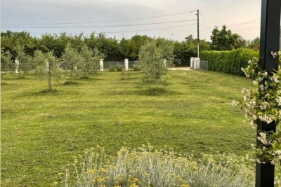 MARČANA! LOBORIKA - TERRENO EDILIZIO CON OLIVETO