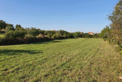 Building land