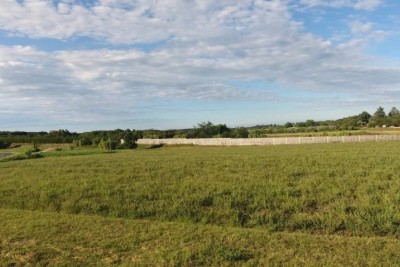 In vendita terreno edificabile, 7.159 m² – Brtonigla