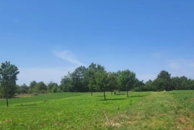 Istria, Žminj, Laginji. Building land. 2370 m2.