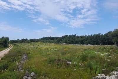 Agricultural land