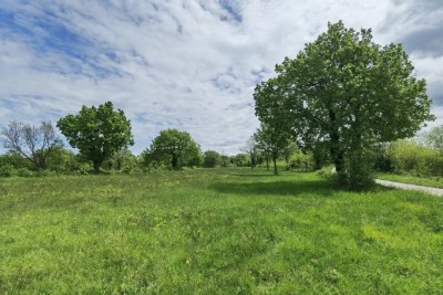 Building land for sale, Višnjan