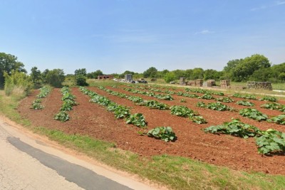 Prodaja - građevinsko zemljište, Loborika!