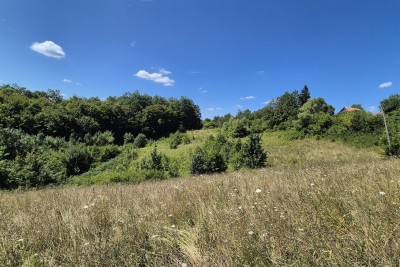 BUKOVLJE, GENERALSKI STOL – LANDWIRTSCHAFTLICHES GRUNDSTÜCK MIT POTENZIAL, 5.963 m²