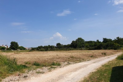 Prostrana gradbena parcela velikosti 1700 m² v Šišanu - idealna priložnost za vaš dom ali naložbo