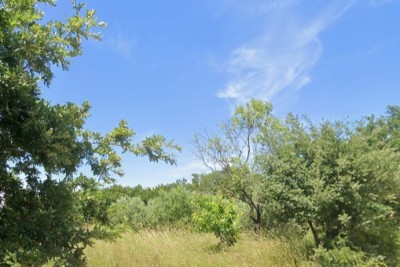 Vendita - terreno edificabile vicino al centro di Marčana!