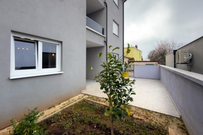 Of course! Please provide the title you would like me to translate.