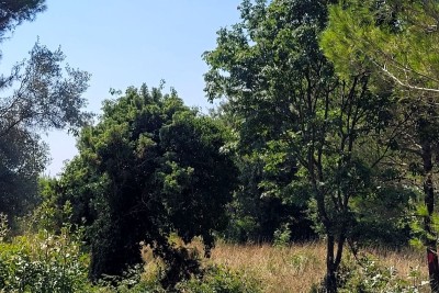 Atraktivna građevinska parcela u Medulinu, naselje Vrčevan