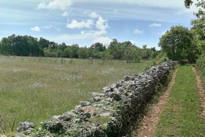 Agricultural land