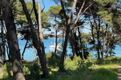 Trosoban stan odmah do mora, Premantura