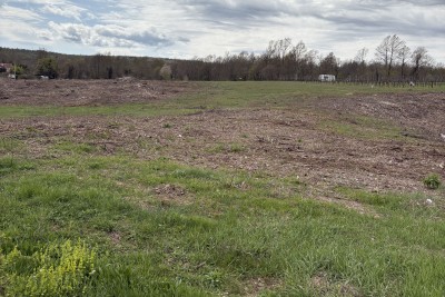 Grundstück Kršan, 11.000m2