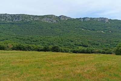 Terreno edificabile 1.650 m² - Buzet, Istria