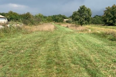 Building land