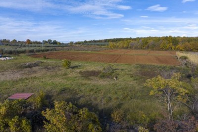 Poreč – 4 gradbene parcele (800–900 m²) na mirni lokaciji