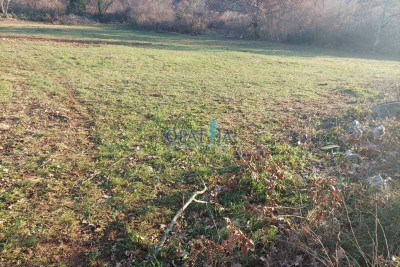 Prodaja građevinskog zemljišta Buje, Plovanija - Građevinski teren na mirnoj lokaciji!