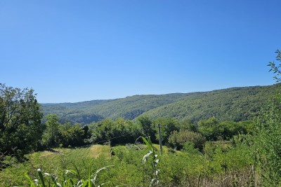 Grundstück Motovun, 1.965m2