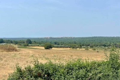 Building land
