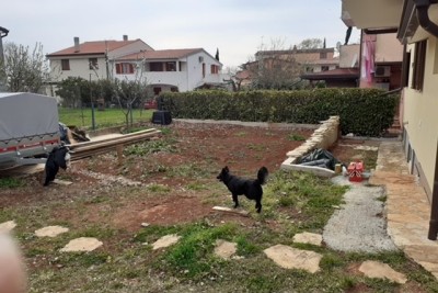 NOVIGRAD - Prodaja dveh stanovanj v družinski hiši