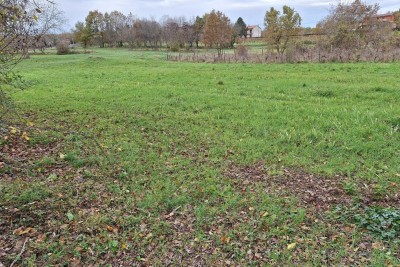 The translation of the title