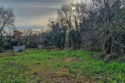 Nova Vas (Brtonigla) – Building Land 555 m²