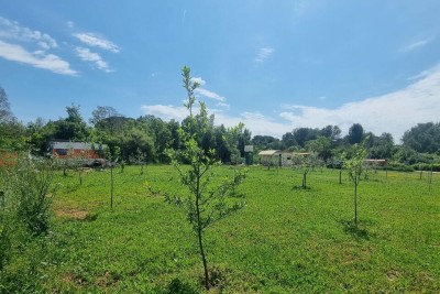 Agricultural land for sale in Valbandon