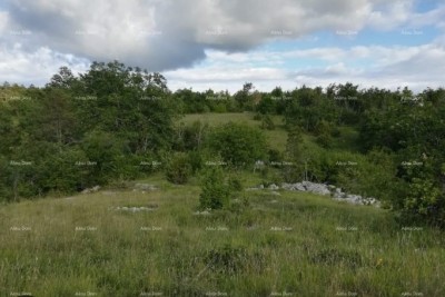 Buzet. 980 m2.