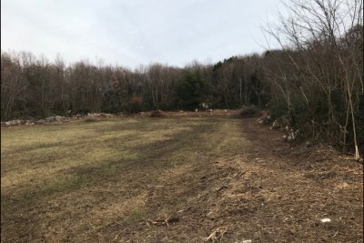 Building land