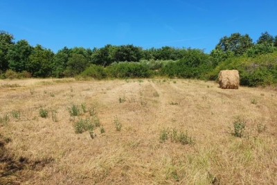 Prodaje se građevinsko zemljište, 1712m2, Marčana