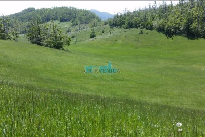 Lands Jelenje, 19.000m2