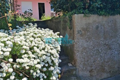 Novi Vinodolski, 50m2