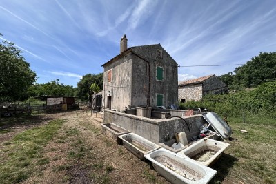 Vendiamo parte di una vasta tenuta in zona appartata.